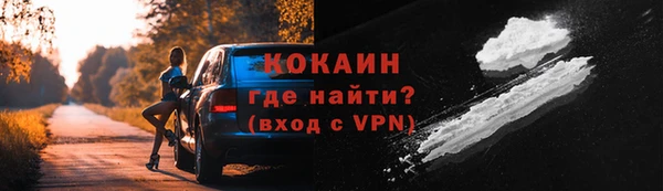 2c-b Пестово