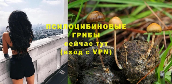 прущая мука Армянск
