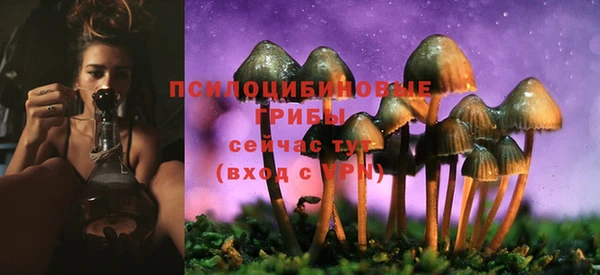 прущая мука Армянск