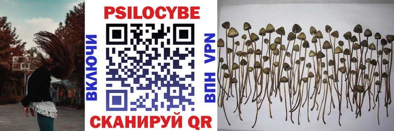 Галлюциногенные грибы GOLDEN TEACHER  Арск 